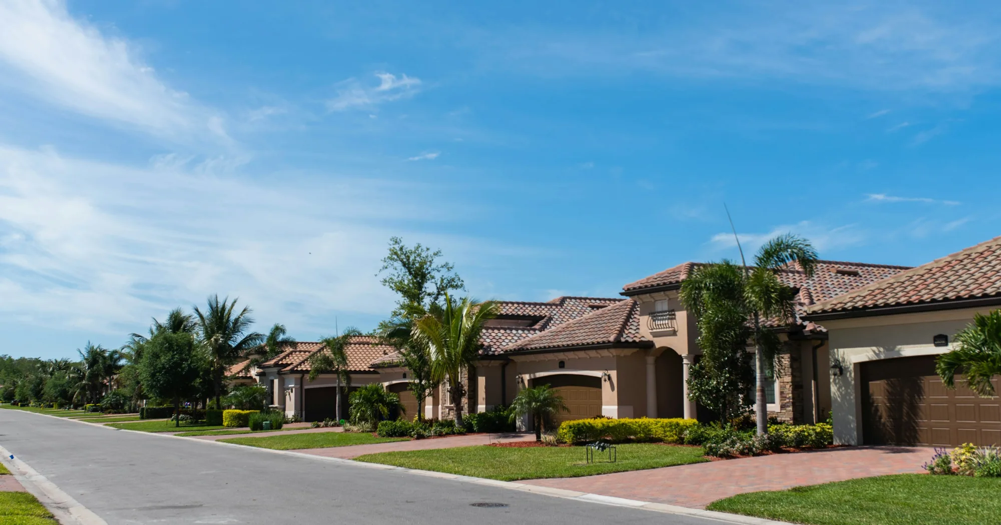 Row of Florida homes with tile roofs and palm trees on a quiet residential street